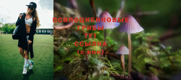 бутират Пересвет