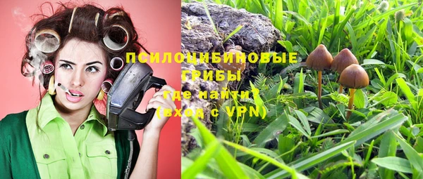 2c-b Пестово